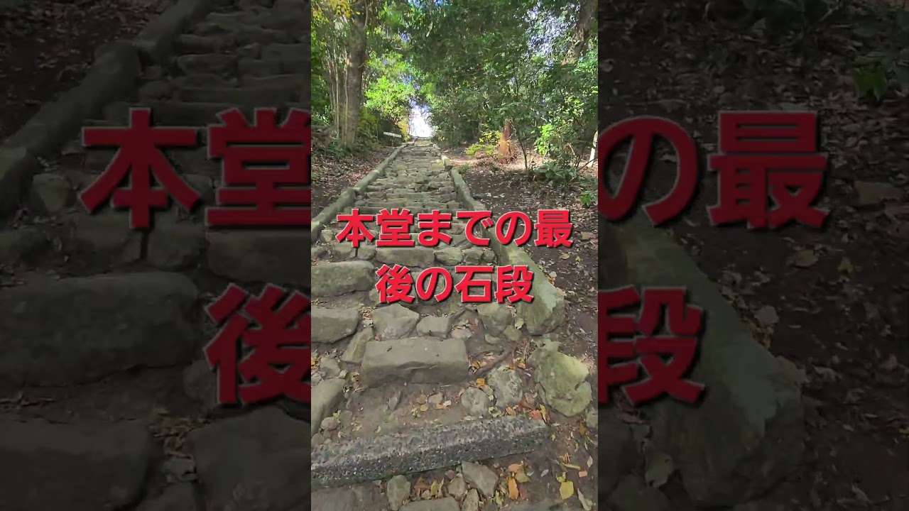 2025.1.3　高来神社スタートの湘南平