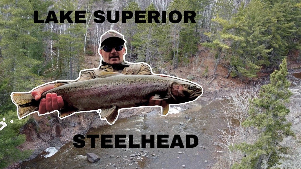 BIG FISH SMALL RIVER - Lake Superior Steelhead