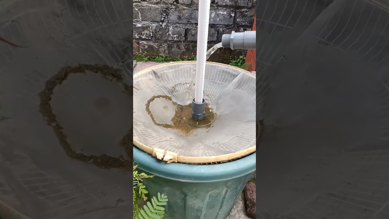 DIY sieve filter pond Tilapia