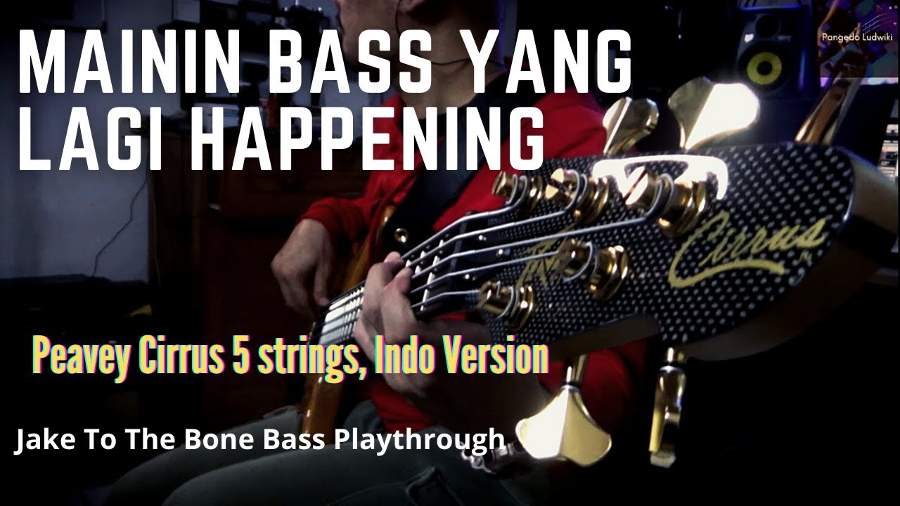 Jake To The Bone -TOTO (Bass Playthrough)