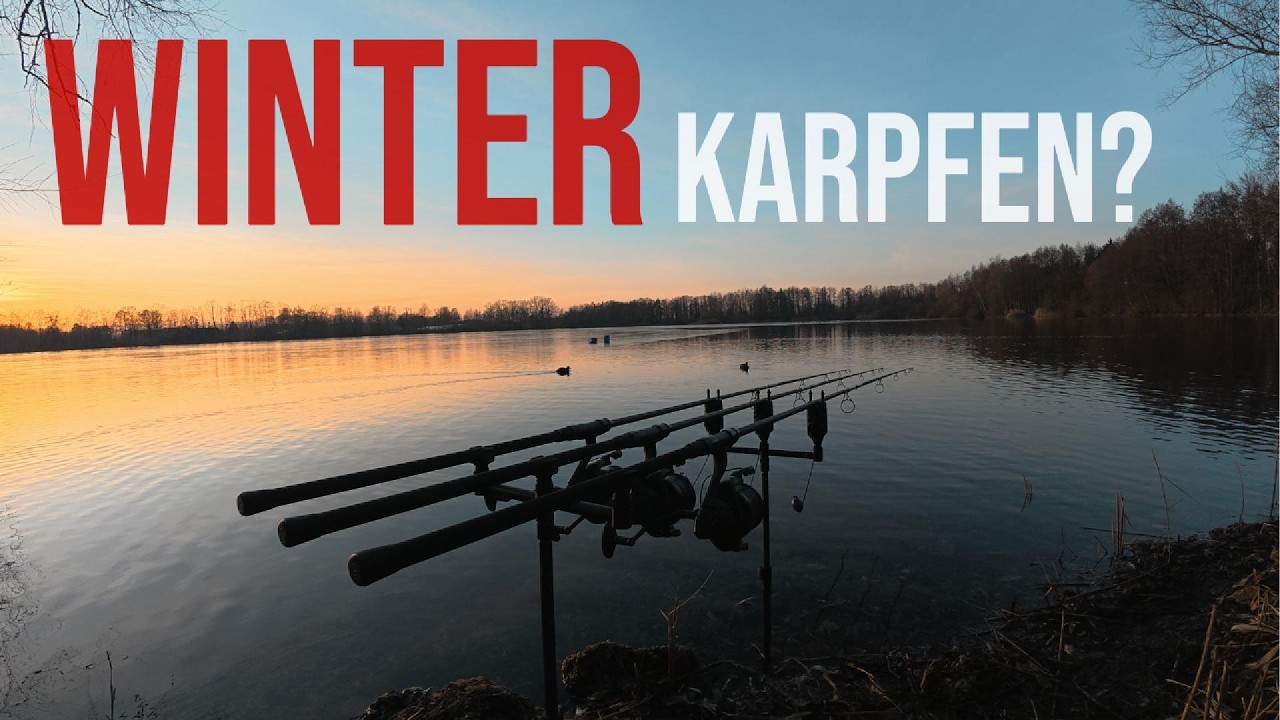 Karpfenangeln im Winter🐟 (See ist Zugefroren)