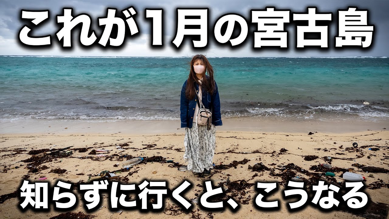 【1月の宮古島】これが現実…リアルな現地状況と楽しみ方を全部話します‼️