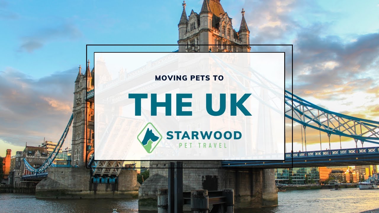 Moving Pets to the UK | Starwood Pet Travel