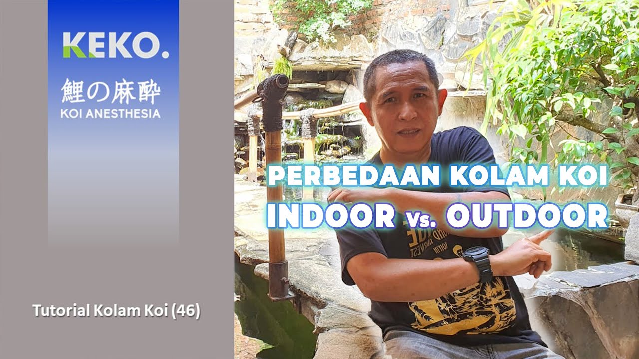 Perbedaan Kolam Koi INDOOR dan OUTDOOR | Tutorial Kolam Koi (46)