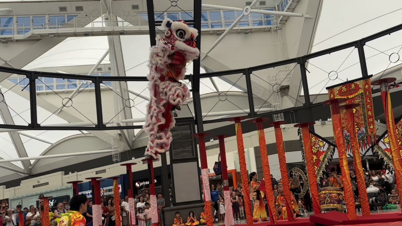 W.A Chung Wah Association Lion Dance High Pole Jong Performance - Lakeside Joondalup Perth W.A 2025