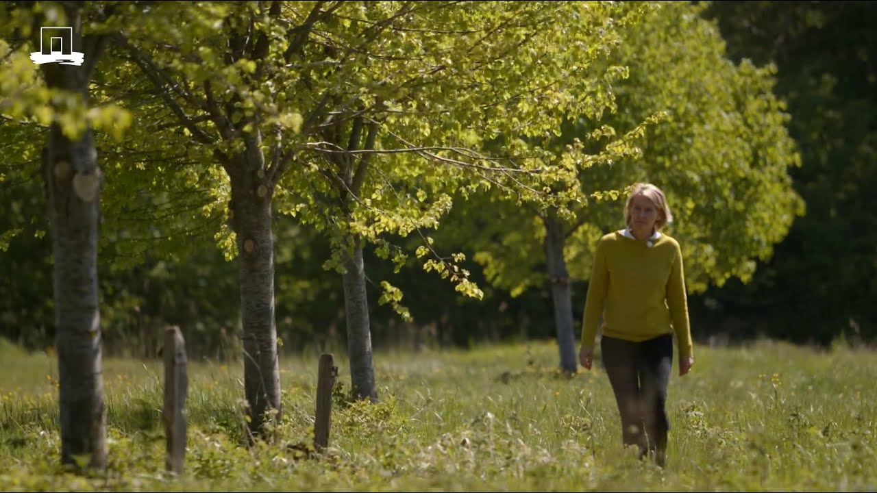 Een levende collectie zeldzame bomen (KennisOnline in beeld 2020)