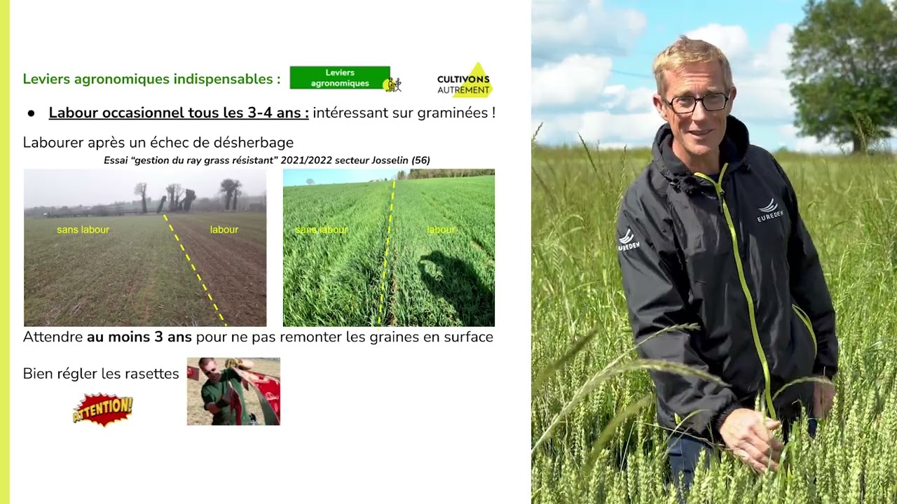 Atelier Ray-grass résistant, leviers agronomiques I Guerlédan