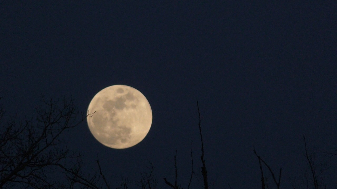 Rise of the Worm Moon - March 2, 2026