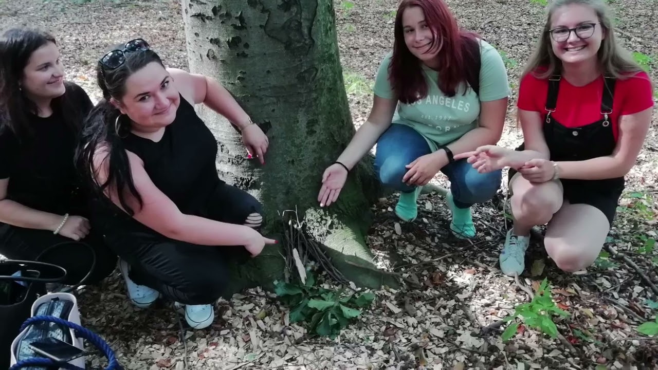 Předškolní a mimoškolní pedagogika