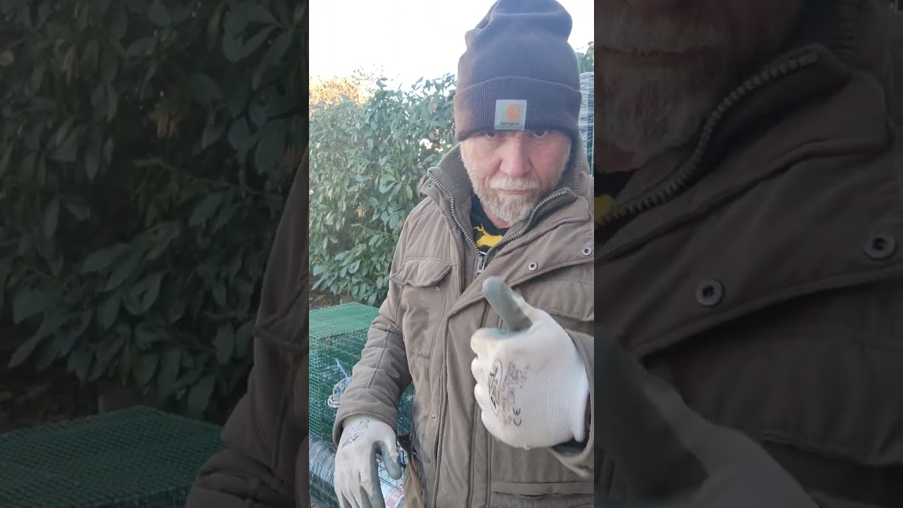 Questa nassa e' la più pescosa