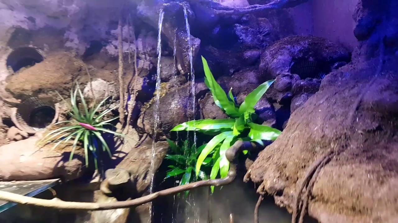 Aquafreak paludarium waterfall test