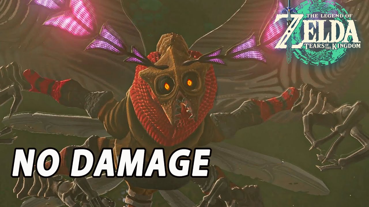 Zelda: Tears of the Kingdom - Queen Gibdo Boss fight  (No Damage)