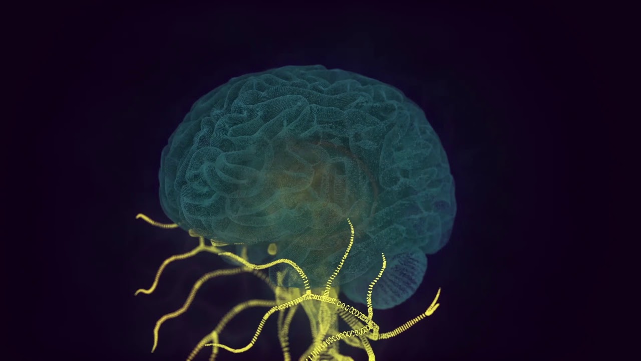 NetLSD: Hearing the Shape of a Graph