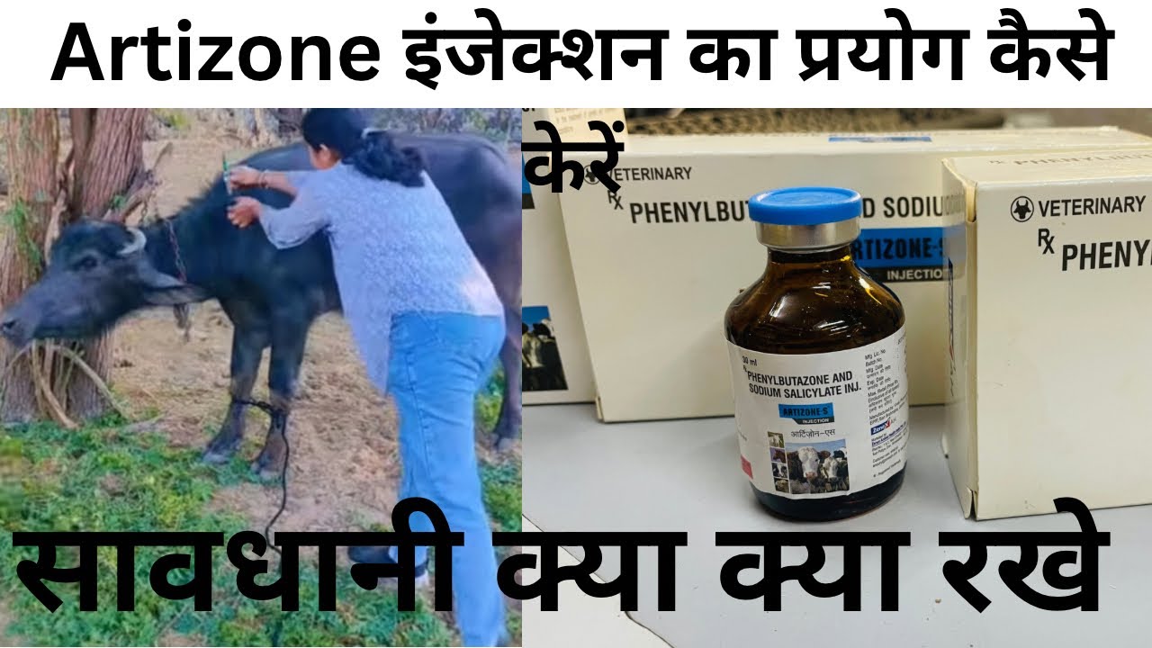 Use of artizone-s injection in veterinary complete information dose for animals