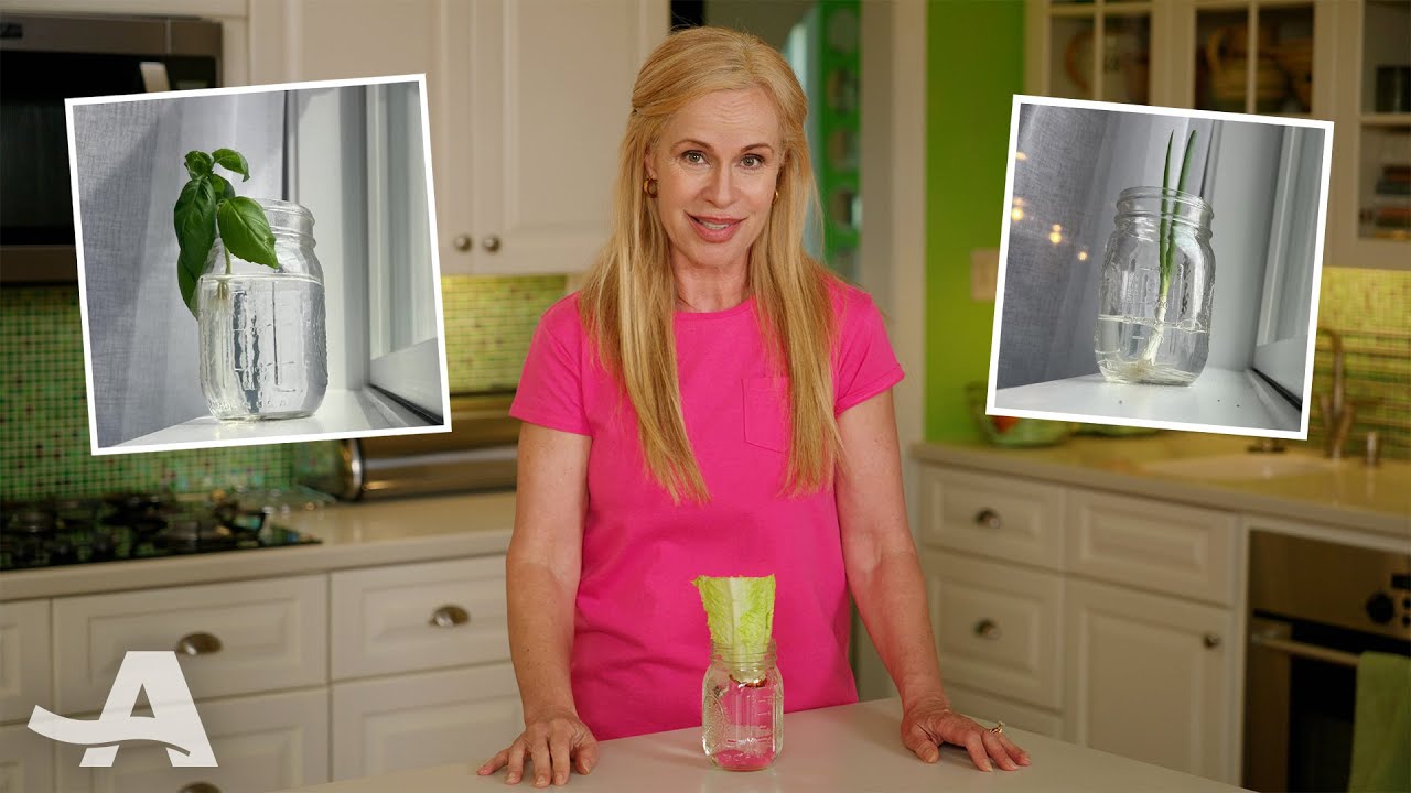 How to Regrow Three Foods From Scraps