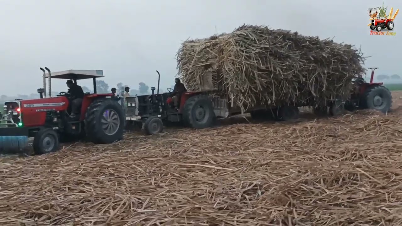 Tow MF385 & MF375 Perkin Pulling out a Heavy loaded sugarcane trolley#waqasanwer #tractorzone 