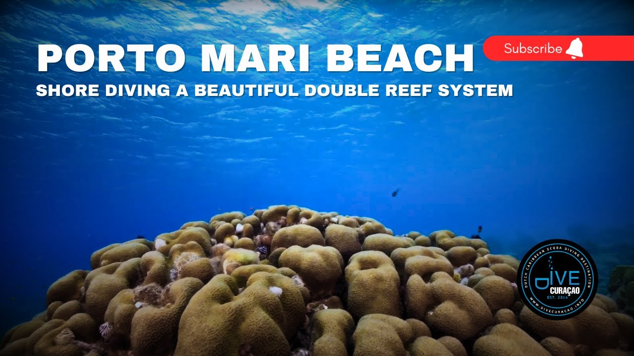 Scuba Diving at Porto Mari Dive Site in Curaçao | World-Class Shore Diving at Playa Porto Mari