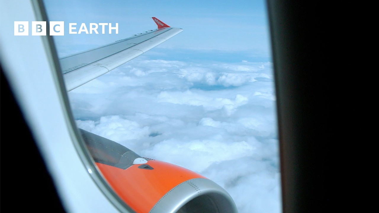 Watch These People Beat Their Fear of Flying | City in the Sky | BBC Earth Science