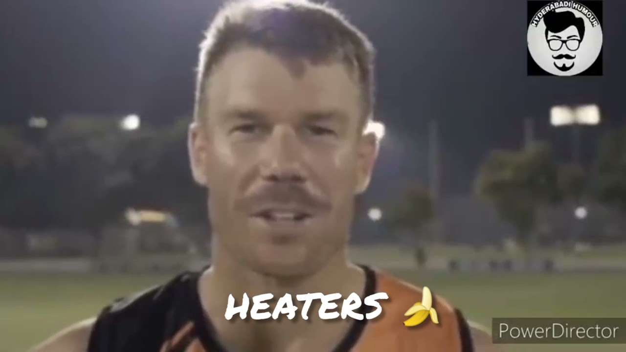 David Warner attitude status🔥🔥 for heaters #srh