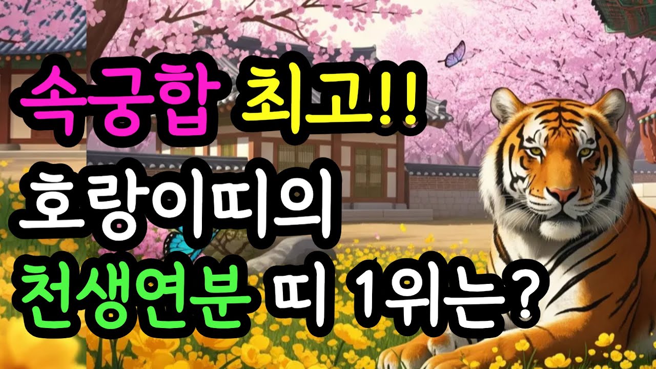 호랑이띠와 속궁합 잘 맞는 띠 TOP3 🔥 상극이라던 그 띠가 1위라고요?