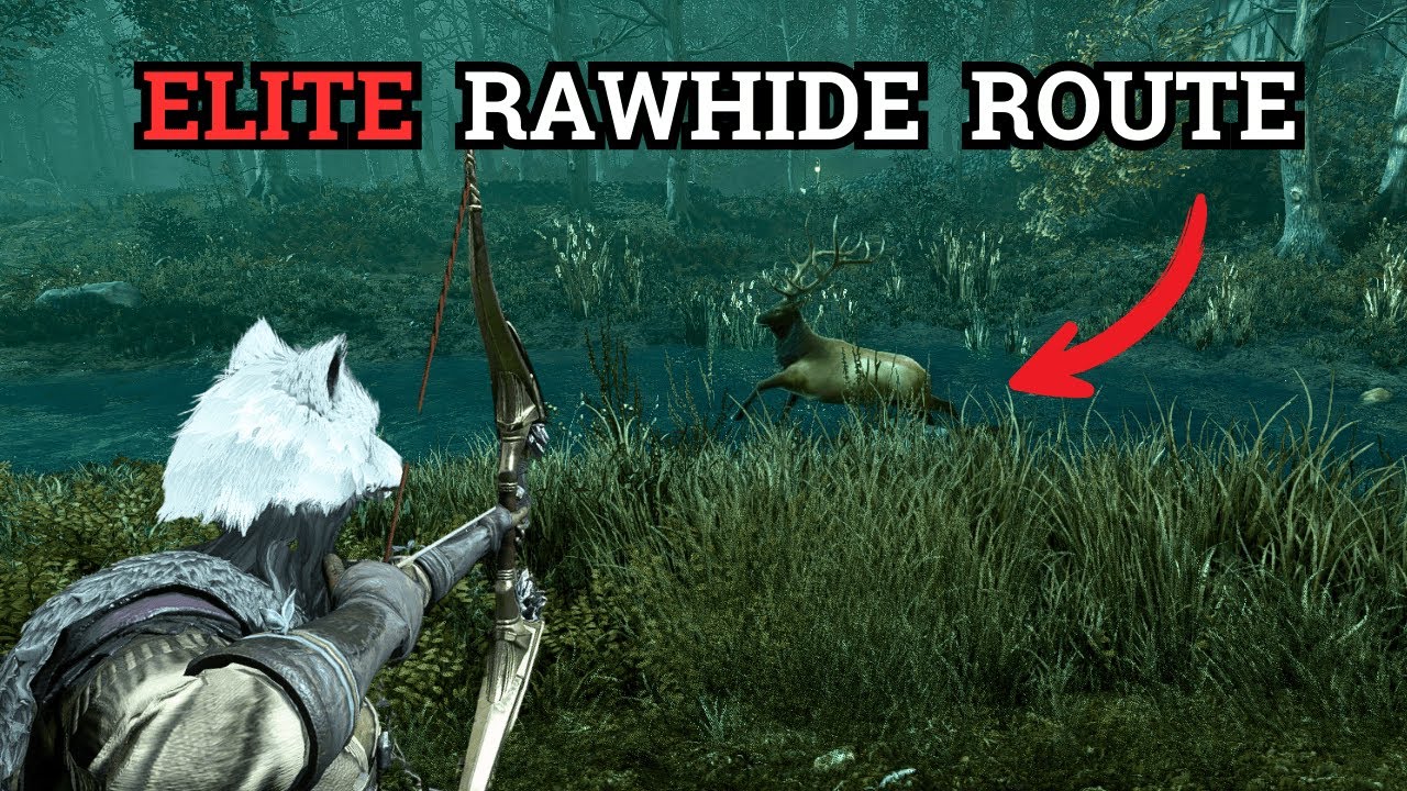 Best rawhide farm in New World: Aeternum 2025