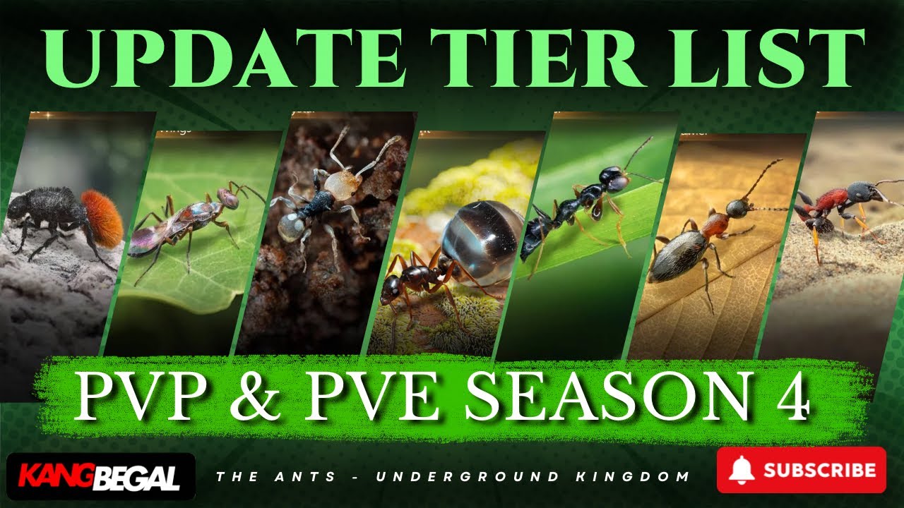 UPDATE TIER LIST PvP & PvE SEASON 4 | The Ants Underground Kingdom | KangBegal