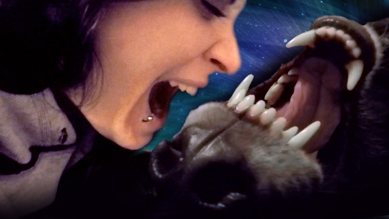 Wolfdog Love Nibbling and Showing Teeth