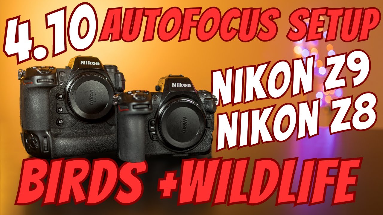 Nikon Z8 and Z9 - 4.10 Autofocus Setup and Button Layout for Bird and Wildlife Photography