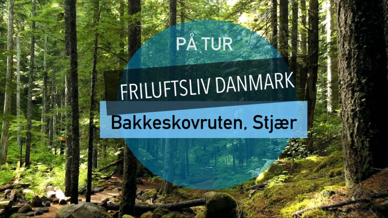 På tur - Bakkeskovruten, Stjær