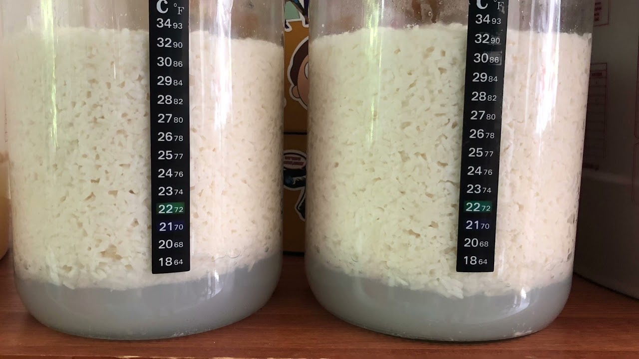 #fermentedworld Sak&egrave; / rice wine - home made up and downs 😆