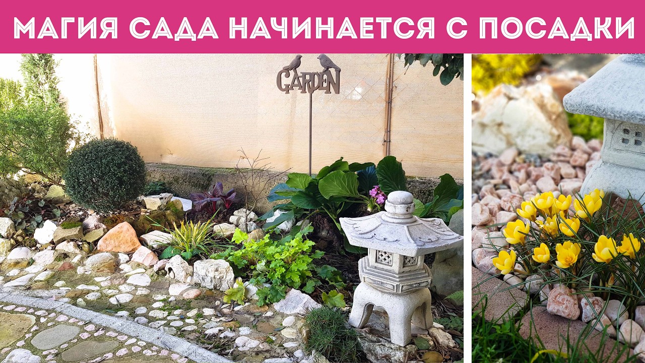 ⭐ПЕРВАЯ ПОСАДКА РАСТЕНИЙ в 2026 г. Сею интересные цветы I Сад начинает цветение!