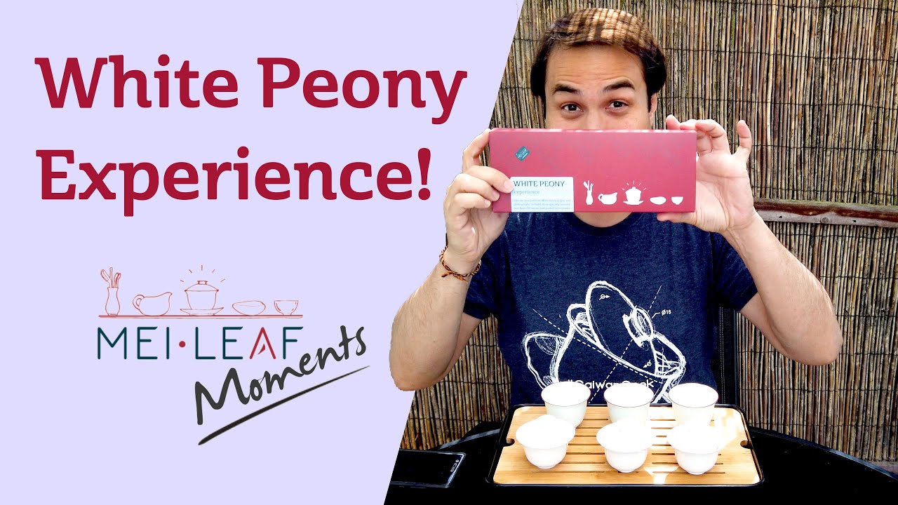 UNBOXING - White Peony Tea Experience