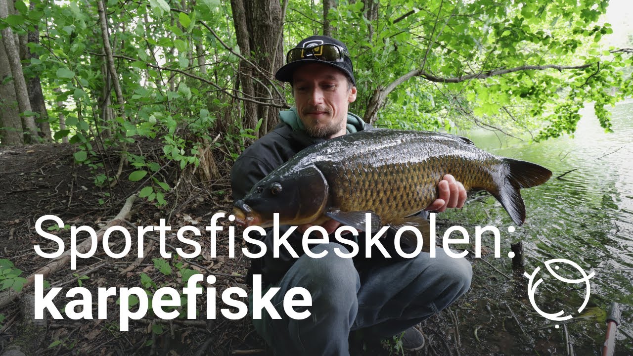 Sportsfiskeskolen - Karpefiske