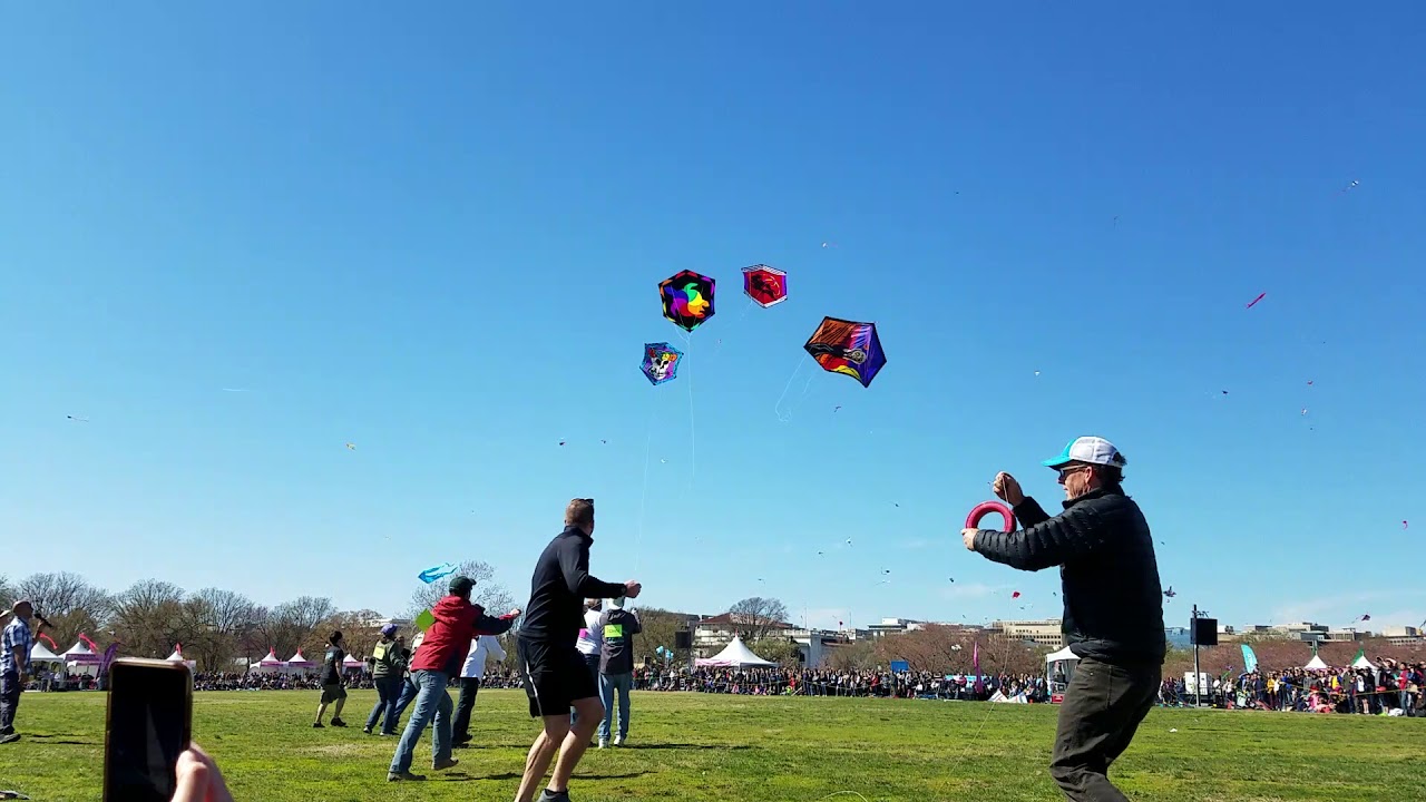 Blossom Kite Festival Rokkaku Battle
