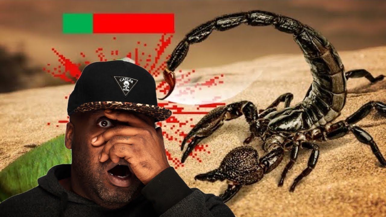 Are Scorpions OP?