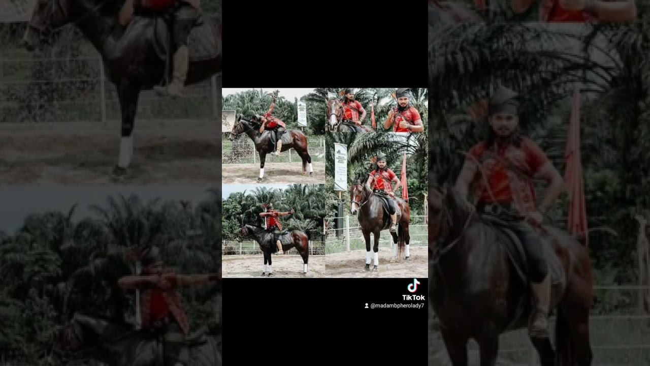 Pang5 Oil Khasiat Dari Pati Lem@k Kuda Jant@n