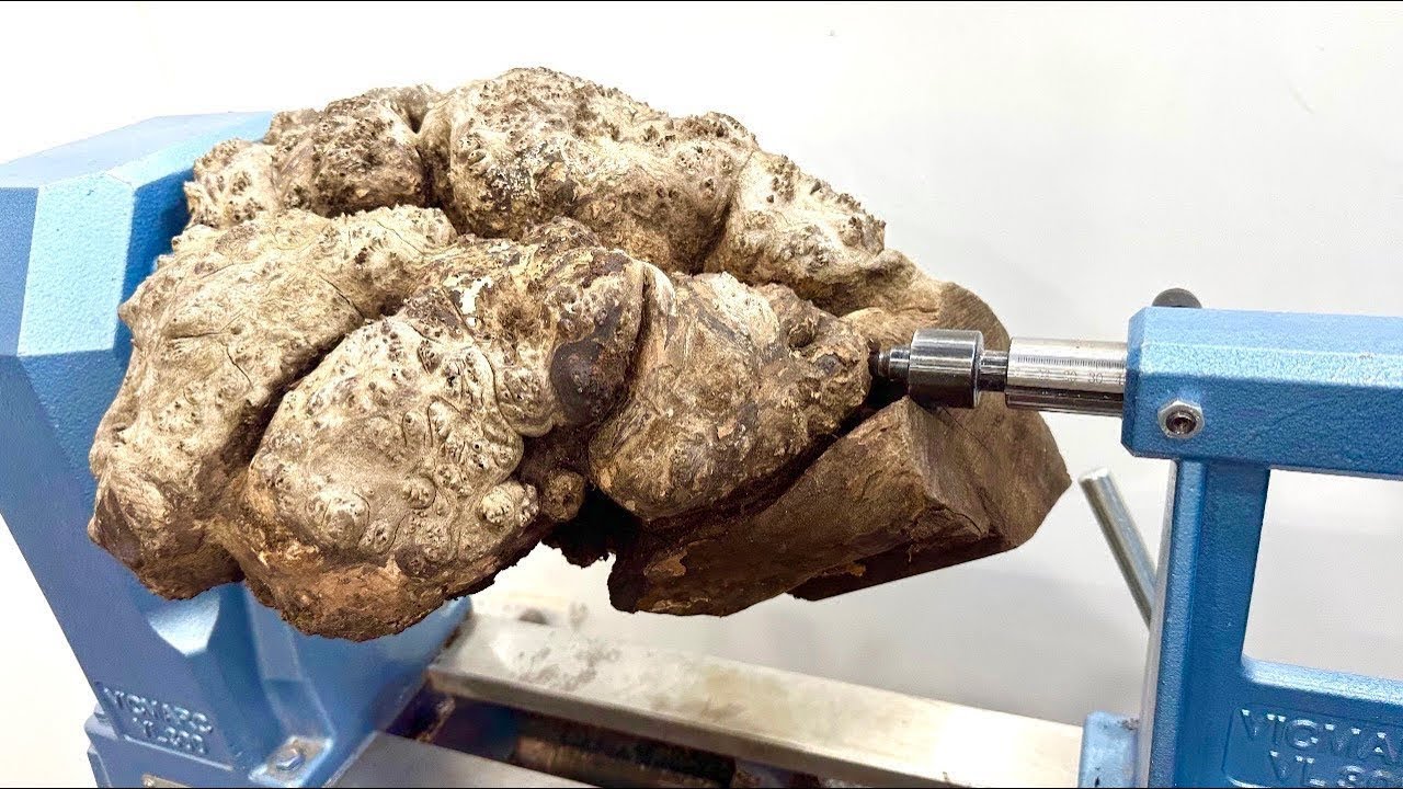 Worlds Rarest Wood ? Challenge Accepted - Woodturning