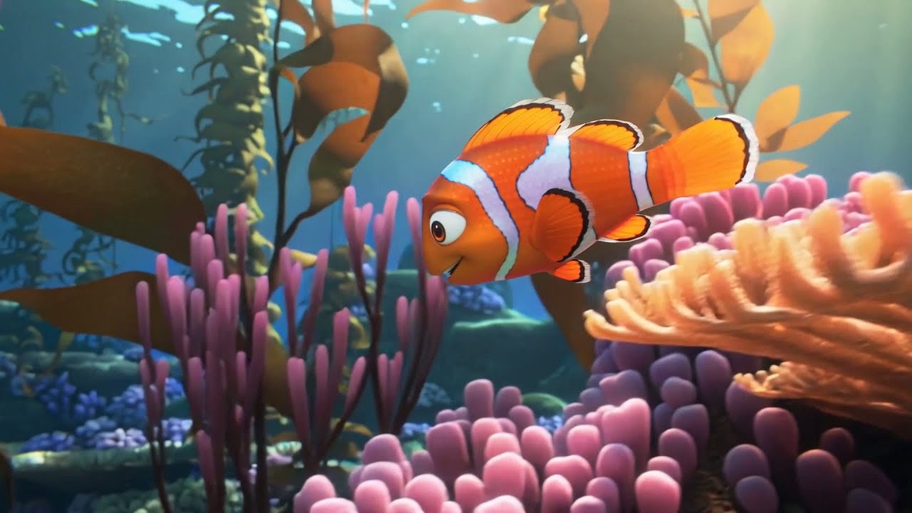 O Bebê Nemo Nadava em Uma Aventura | Canções e Rimas para Crianças