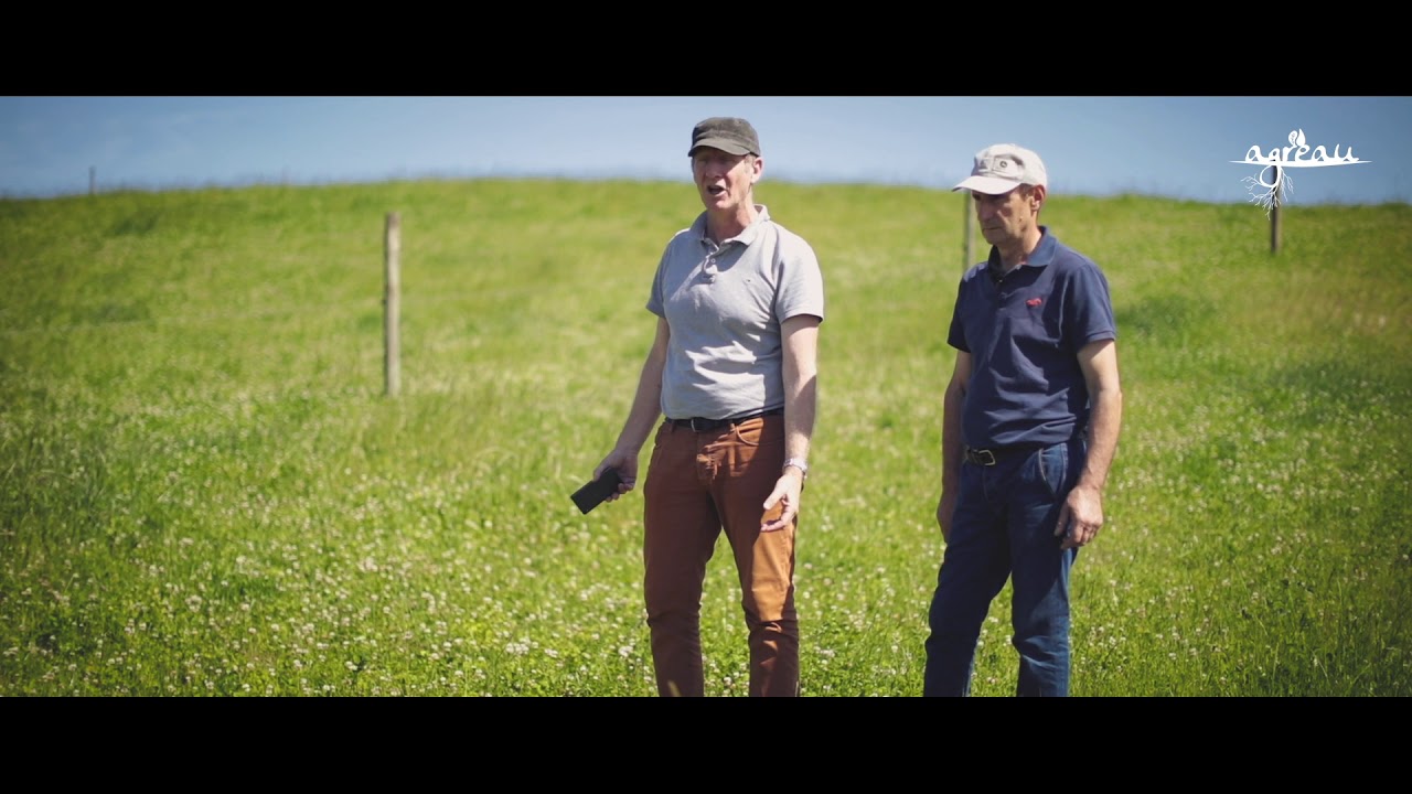 Elevage agroforestier, témoignage d'agriculteurs, réseau AGR'EAU