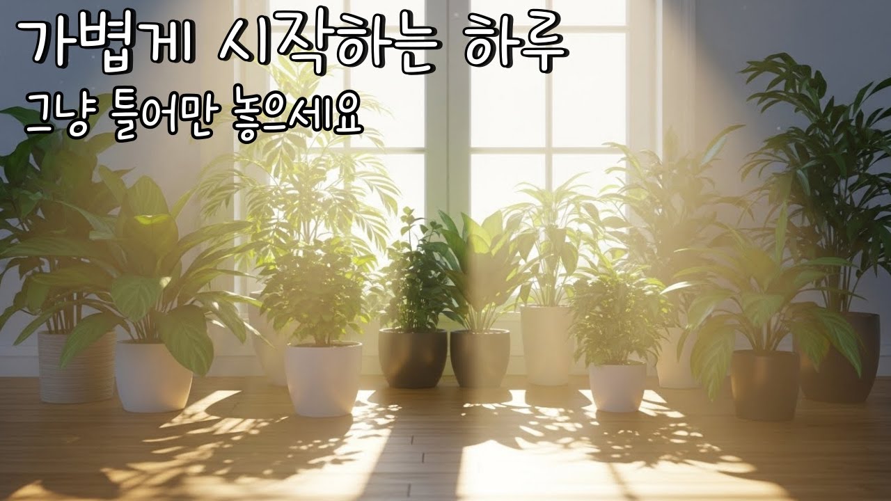 부담 없는 힐링 ☕ 부담 없이 흐르는 힐링 BGM | 가볍게 시작하는 하루 | 편안한 리듬 🎶  조용한 활력
