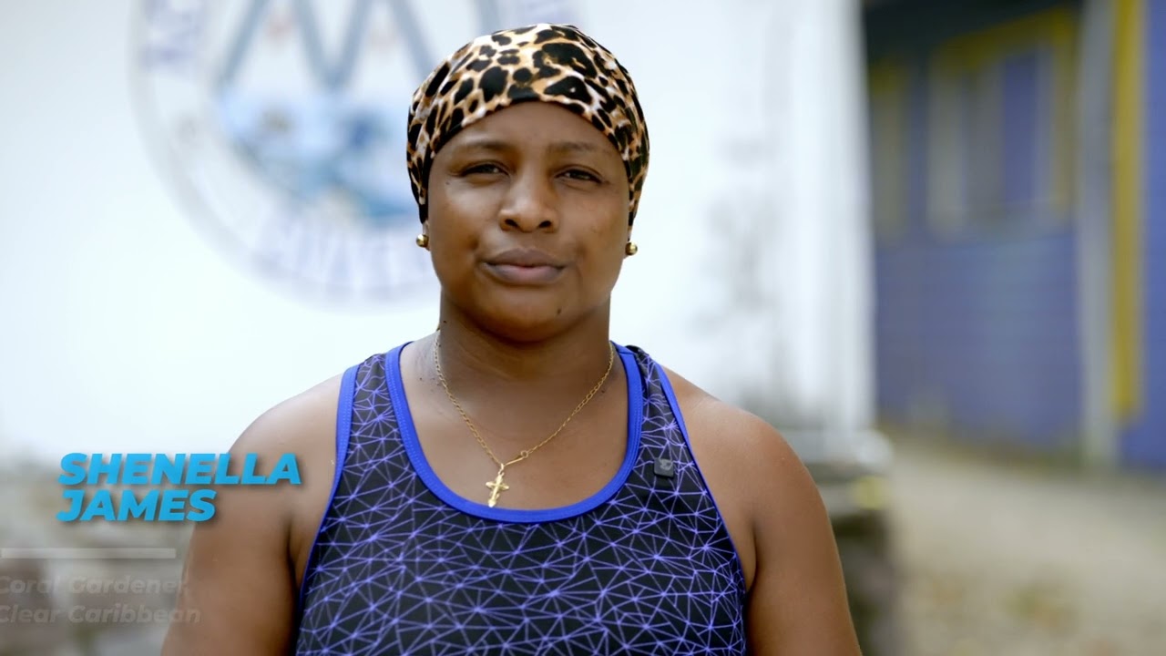 Saint Lucia's Climate Resilience Journey (Documentary)