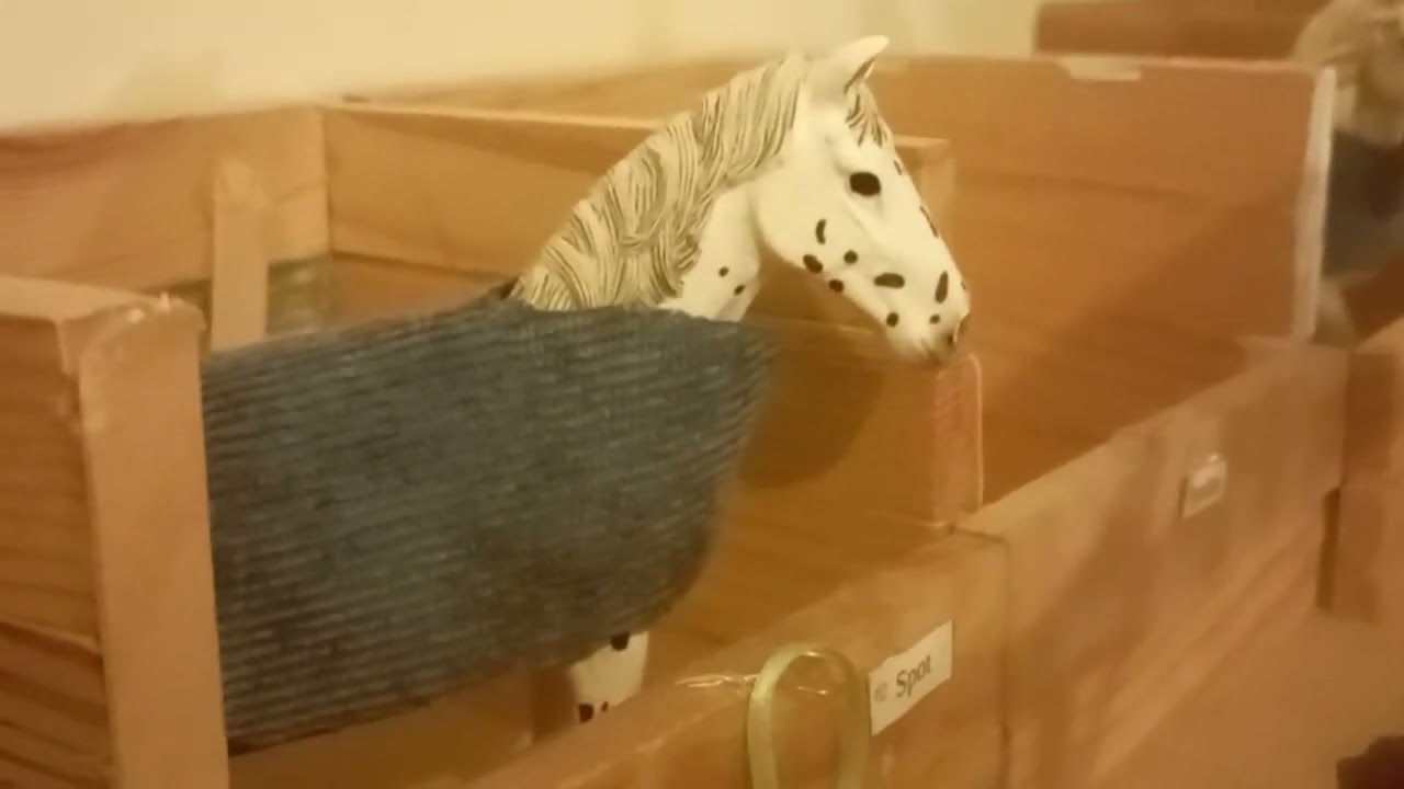 ✨Le Golden Horse ✨ {Mini-Serie Schleich} épisode 1: pleins de questions 