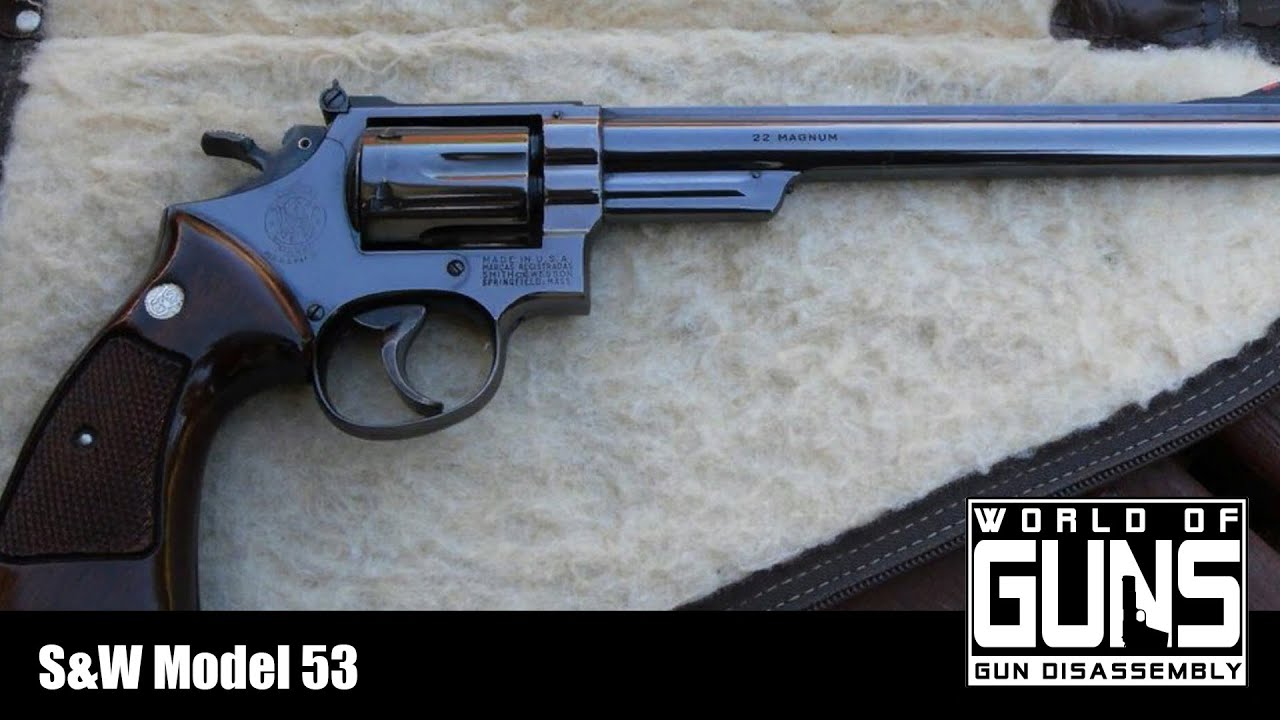 World of Guns - S&W Model 53