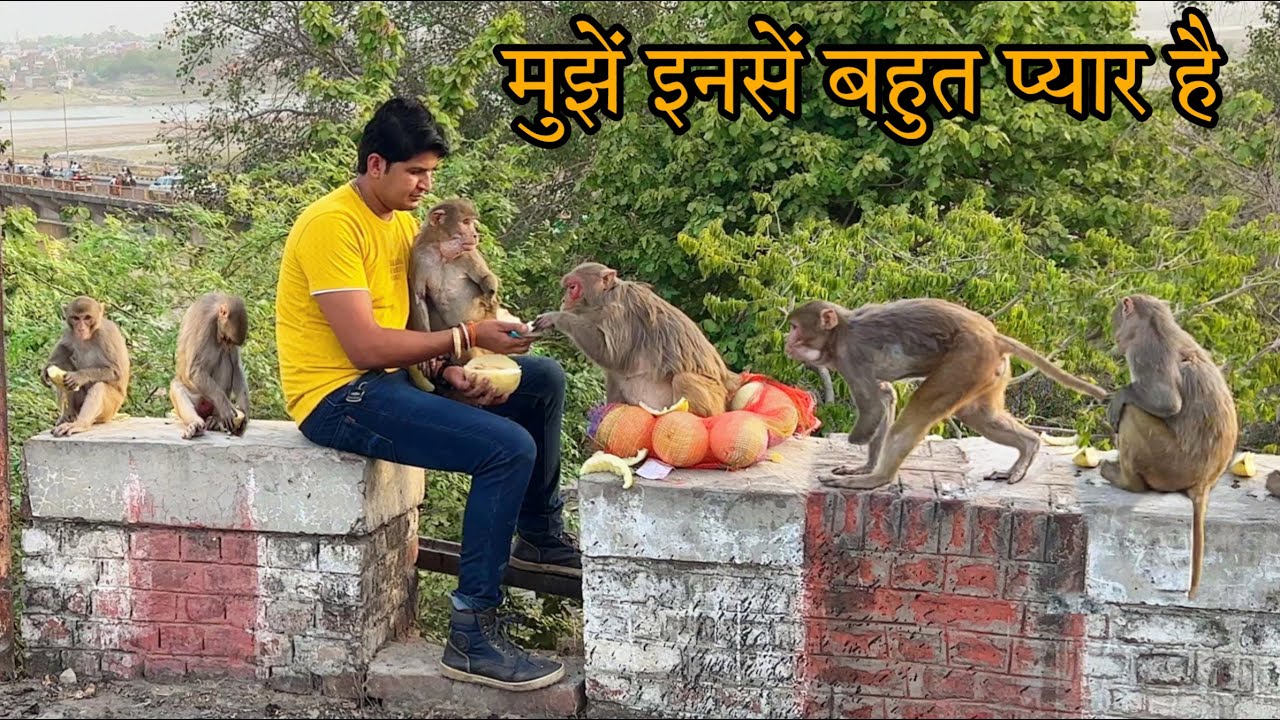 Mujhe inse बेइंतिहा pyar hai // Sumit Cool Dubey