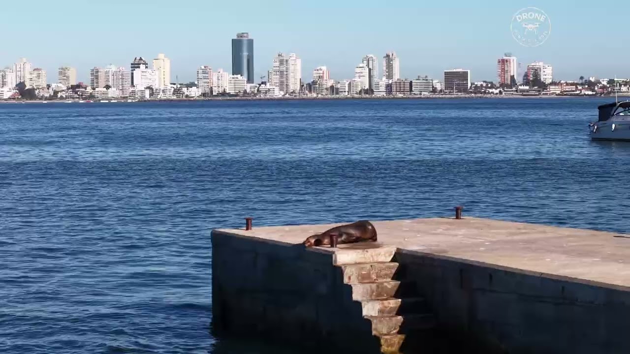 Un paseo por las costas de la Isla Gorriti