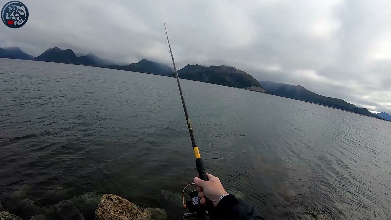surfcasting w Norwegii/dorsze i makrela na spinning z brzegu/jak łowic z brzegu w Norwegii
