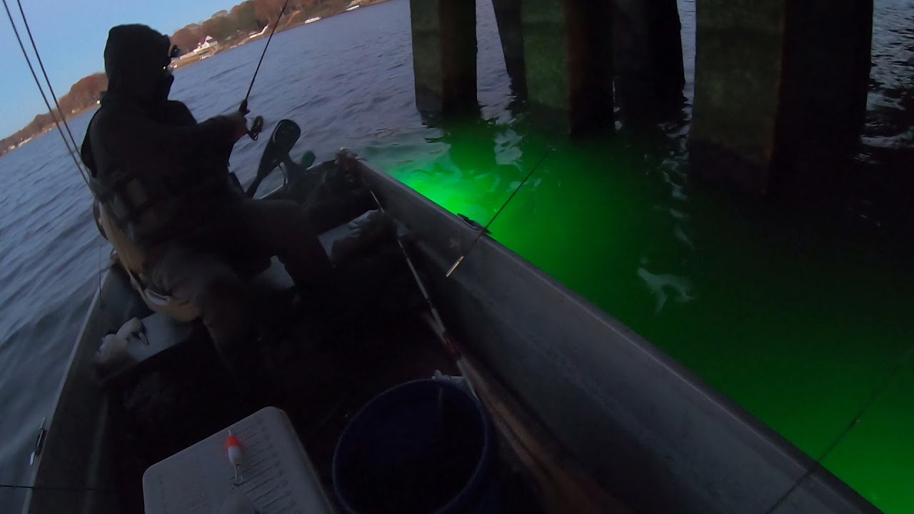 Pescando mojaras