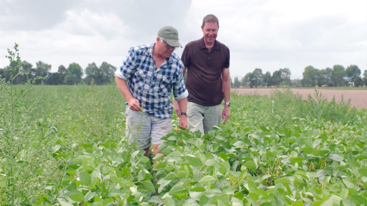 Non Chemical Weed Management