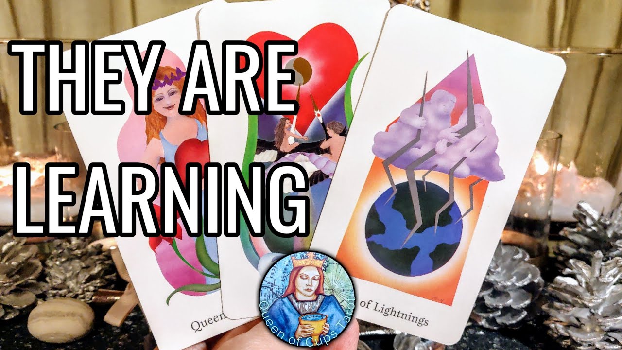 UPDATE ON THE TWIN FLAME JOURNEY! - Timeless Near Personal Love & Spirituality Reading 🌾