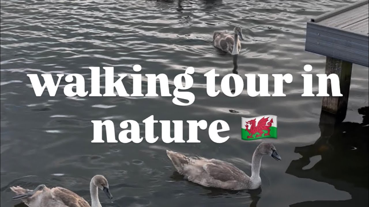 Walking tour in Wales نزهة هادئة في حديقة في ويلز Galler’de Huzurlu Park Yürüyüşü